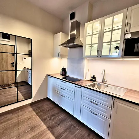 Apartment Roosevelta - Przy Off Piotrkowska, Fv - Klimatyzacja - Wifi, Orientarium, Atlas Arena, Hopalupa, Aquapark Fala, Ec1 Łódź