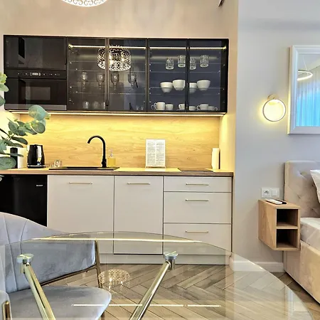 Apartman Roosevelta - Przy Off Piotrkowska, Fv - Klimatyzacja - Wifi, Orientarium, Atlas Arena, Hopalupa, Aquapark Fala, Ec1