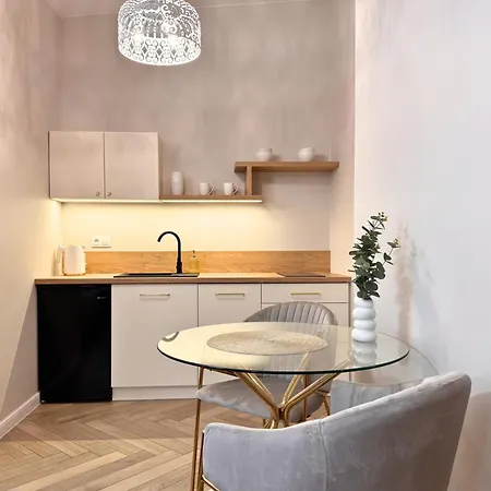 Roosevelta By Properbook - Przy Off Piotrkowska - Fv - Klimatyzacja - Wifi, Atlas Arena, Orientarium, Aquapark Fala, Ec1 Lägenhet *