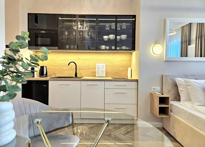 Lägenhet Roosevelta - Przy Off Piotrkowska, Fv - Klimatyzacja - Wifi, Orientarium, Atlas Arena, Hopalupa, Aquapark Fala, Ec1